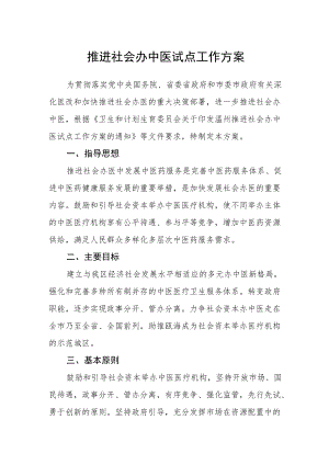 推进社会办中医试点工作方案.docx