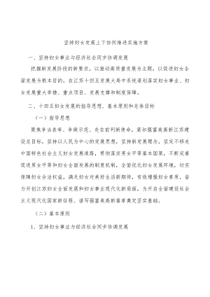 坚持妇女发展上下协同推进实施方案.docx
