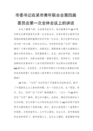 市委书记在某市青年联合会第四届委员会第一次全体会议上的讲话.docx