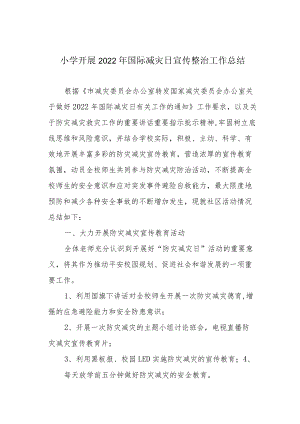 小学开展2022年国际减灾日宣传整治工作总结.docx