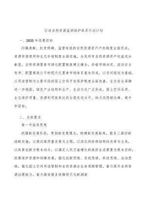 打造自然资源监测保护体系行动计划.docx