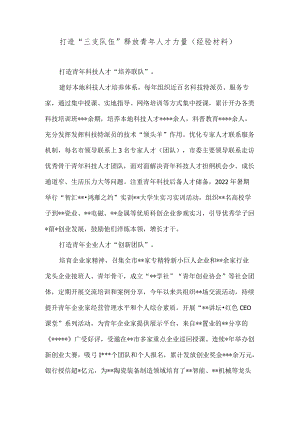 打造“三支队伍”释放青年人才力量（经验材料）.docx