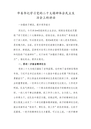 市委书记学习党的二十大精神体会民主生活会上的讲话.docx