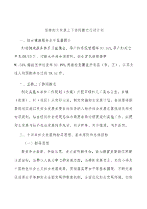 坚持妇女发展上下协同推进行动计划.docx