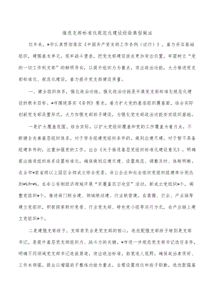 推进支部标准化规范化建设经验典型做法.docx