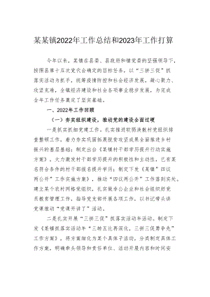 某某镇2022年工作总结和2023年工作打算.docx