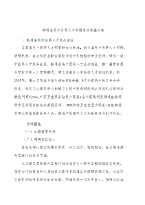 畅通基层中医药人才使用途径实施方案.docx