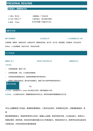 简约薪酬绩效专员工作个人求职简.docx
