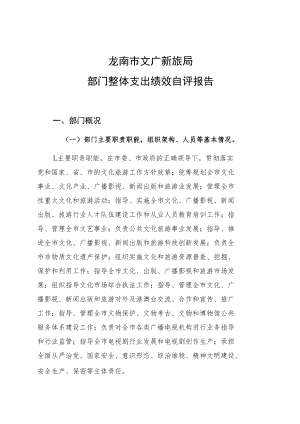 龙南市文广新旅局部门整体支出绩效自评报告.docx