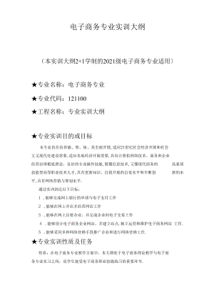 电子商务电子商务专业实训大纲.docx