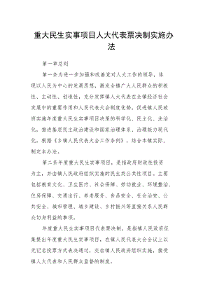 重大民生实事项目人大代表票决制实施办法.docx