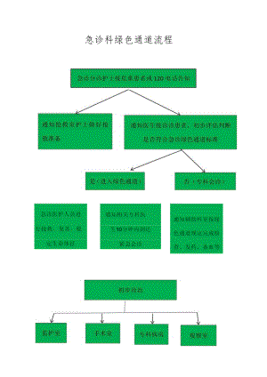 诊疗服务-就诊须知急诊绿色通道管理流程.docx