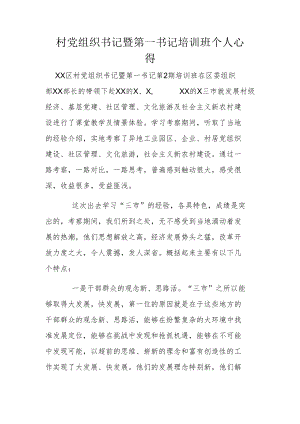 村党组织书记暨第一书记培训班个人心得.docx