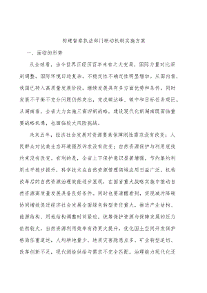 构建督察执法部门联动机制实施方案.docx