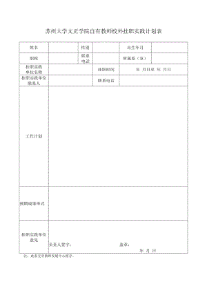 苏州大学文正学院自有教师校外挂职实践计划表.docx