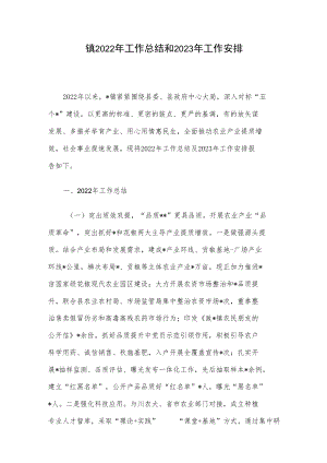 镇2022年工作总结和2023年工作安排.docx