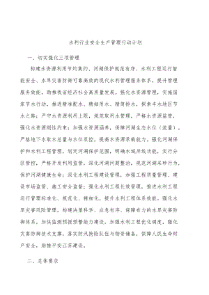 水利行业安全生产管理行动计划.docx