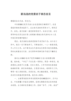 新当选的党委班子表态发言.docx