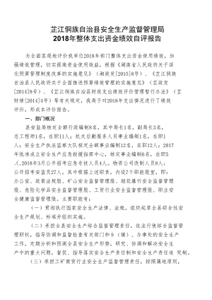 芷江侗族自治县安全生产监督管理局2018年整体支出资金绩效自评报告.docx