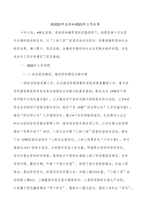 镇2022年总结和2023年工作打算.docx