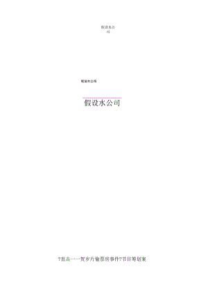 电视编导节目策划案范例.docx