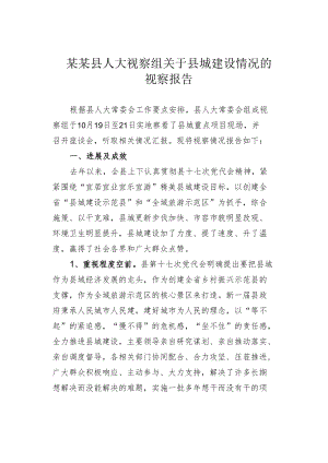 某某县人大视察组关于县城建设情况的视察报告.docx