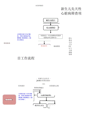 新生儿先天性心脏病筛查项目工作流程.docx