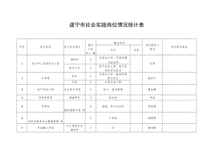 遂宁市社会实践岗位情况统计表.docx