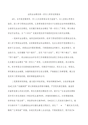 法院法治建设第一责任人职责述职报告.docx