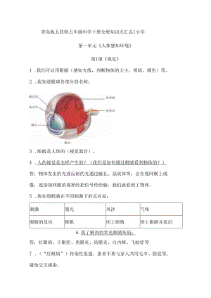 青岛版五四制五年级科学下册全册知识点汇总.docx