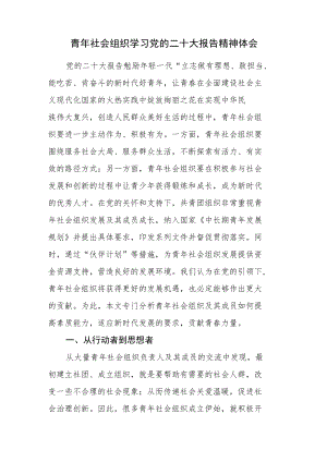 青年社会组织学习党的二十大报告精神体会.docx