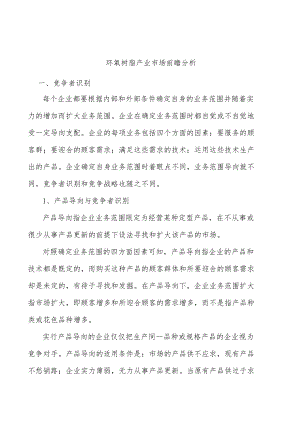 环氧树脂产业市场前瞻分析.docx
