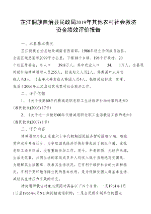 芷江侗族自治县民政局2019年其他农村社会救济资金绩效评价报告.docx