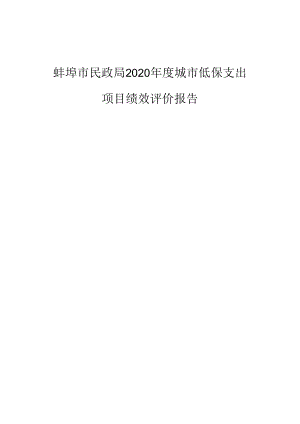 蚌埠市民政局2020年度城市低保支出项目绩效评价报告.docx