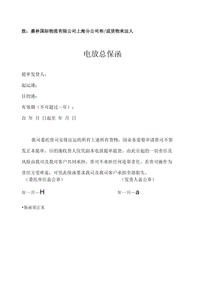 致嘉林国际物流有限公司上海分公司和或货物承运人电放总保函.docx