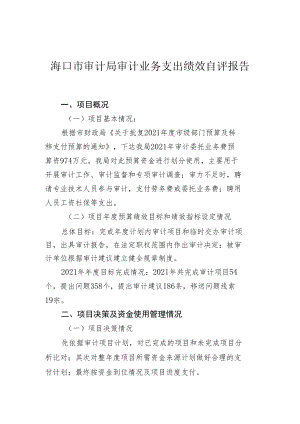 海口市审计局审计业务支出绩效自评报告.docx