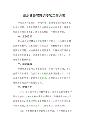 规划建设管理组专项工作方案.docx