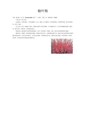 常用植物列表.docx