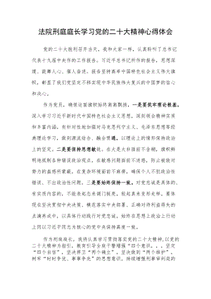 法院刑庭庭长学习党的二十次大会精神心得体会.docx
