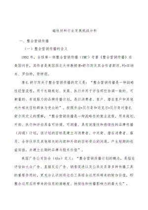 磁性材料行业发展挑战分析.docx