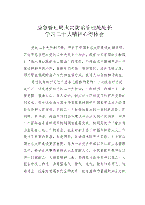 应急管理局火灾防治管理处处长学习二十大精神心得体会.docx