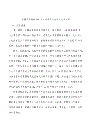 便携式音视频SoC芯片市场现状分析及发展前景.docx