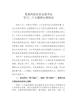 某某科技企业支部书记学习二十大精神心得体会.docx
