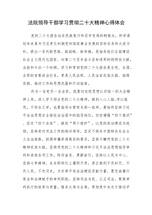 法院领导干部学习贯彻二十次大会精神心得体会.docx