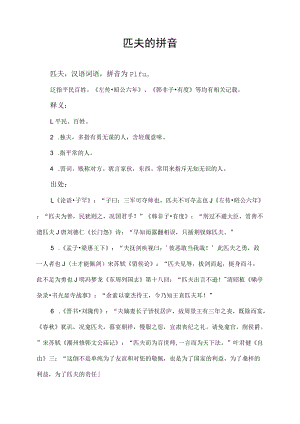 匹夫的拼音.docx
