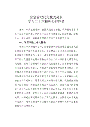 应急管理局危化处处长学习二十大精神心得体会.docx