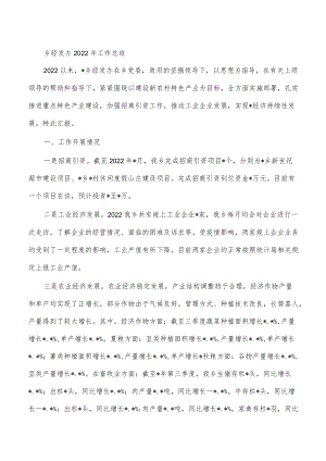 乡经发办2022年工作总结.docx
