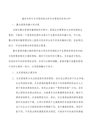 磁性材料行业市场深度分析及发展规划咨询分析.docx
