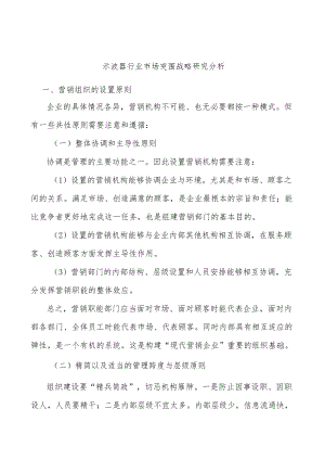 示波器行业市场突围战略研究分析.docx