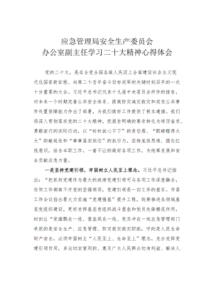 应急管理局安全生产委员会办公室副主任学习二十大精神心得体会.docx